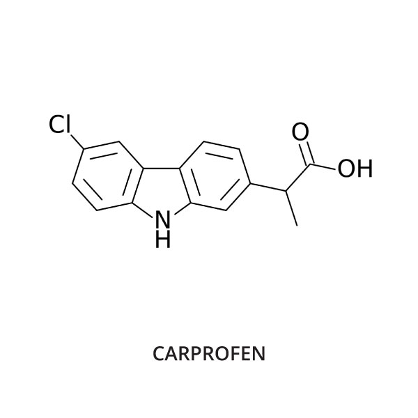 other names for carprofen