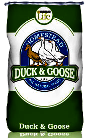 Homestead Duck and Goose image