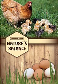 Nature's Balance Egg Booster Nibblets image