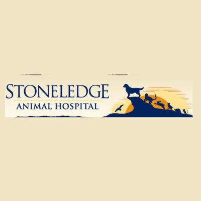 stoneledge hospital animal bridgton rd
