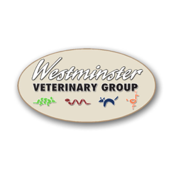 Westminister Veterinary Hospital