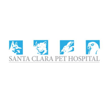 Santa Clara Pet Hospital