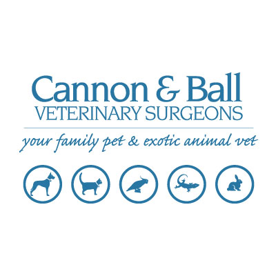 Cannon and Ball Veterinary Surgeons