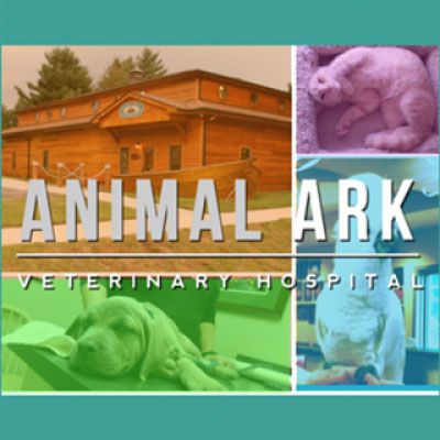 ark veterinary hospital