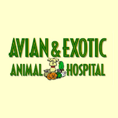 Avian & Exotic Animal Hospital
