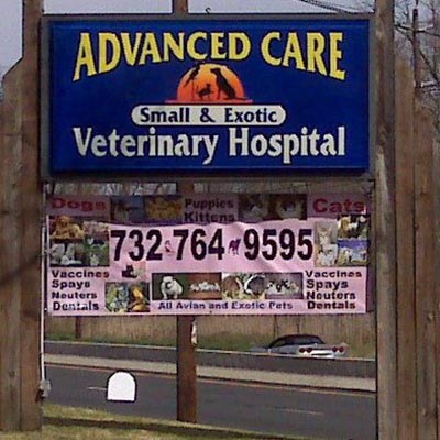 banfield pet hospital 7th ave and bell