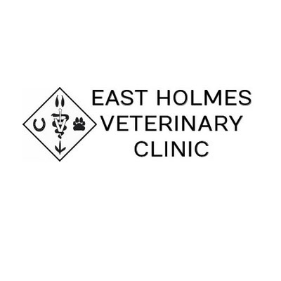 East Holmes Veterinary Clinic