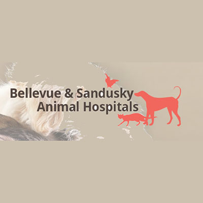 Sandusky Animal Hospital