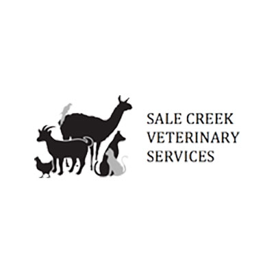 Sale Creek Vet Clinic