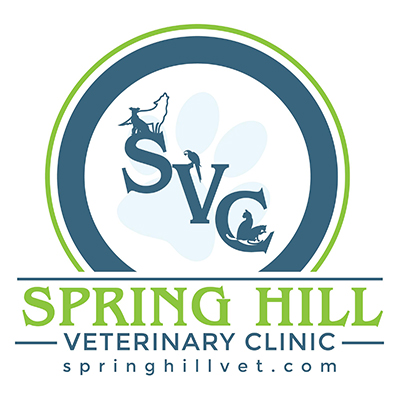 Spring Hill Veterinary Clinic 