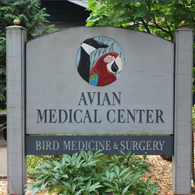 The Avian Medical Center