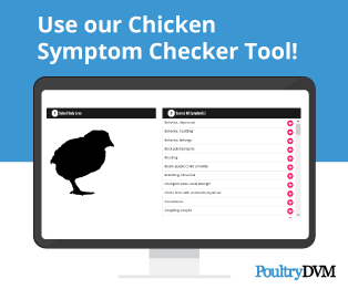 Go to Chicken Symptom Checker