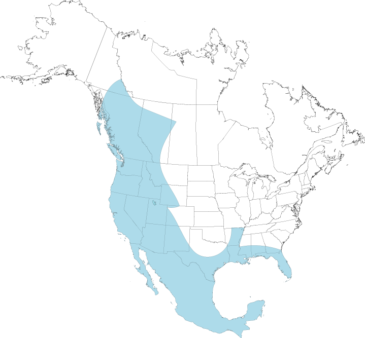 Cougar map
