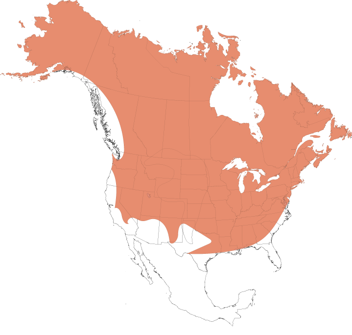 Fox map