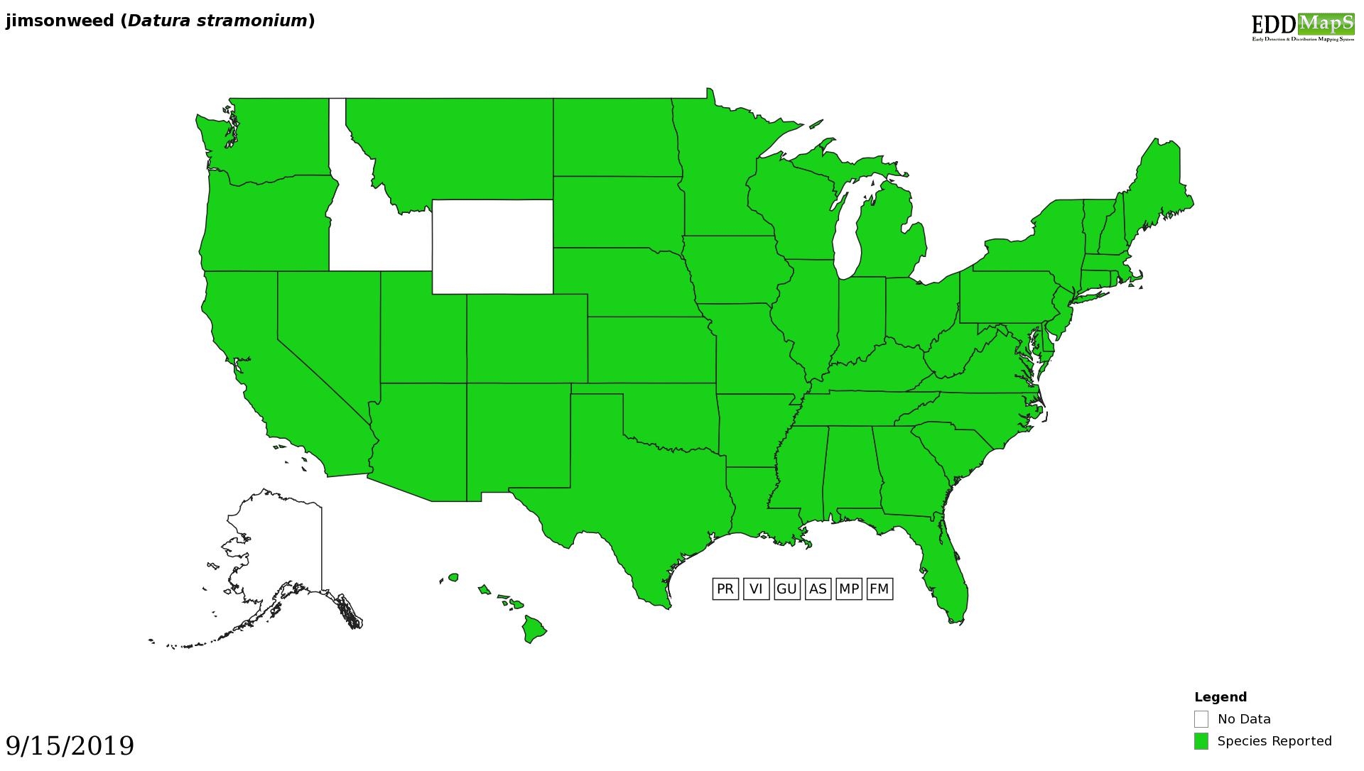 Jimsonweed distribution - United States