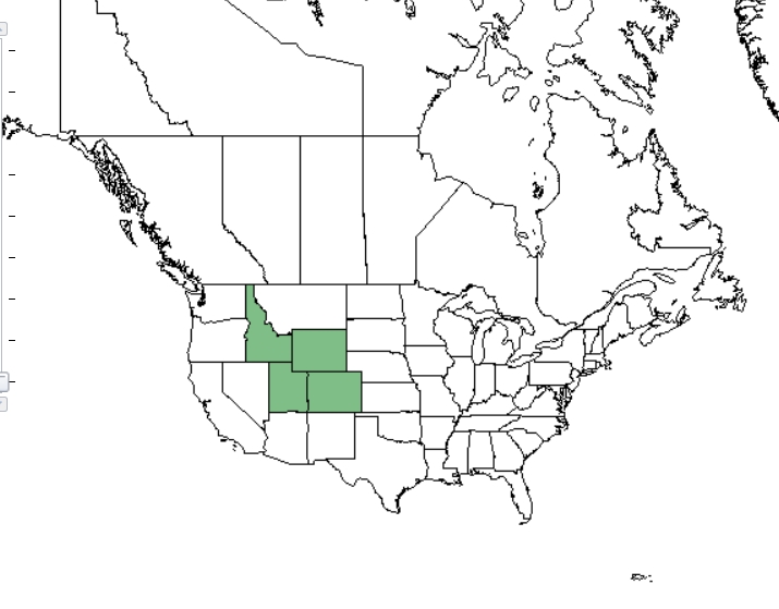 Longstalk springparsley distribution - United States