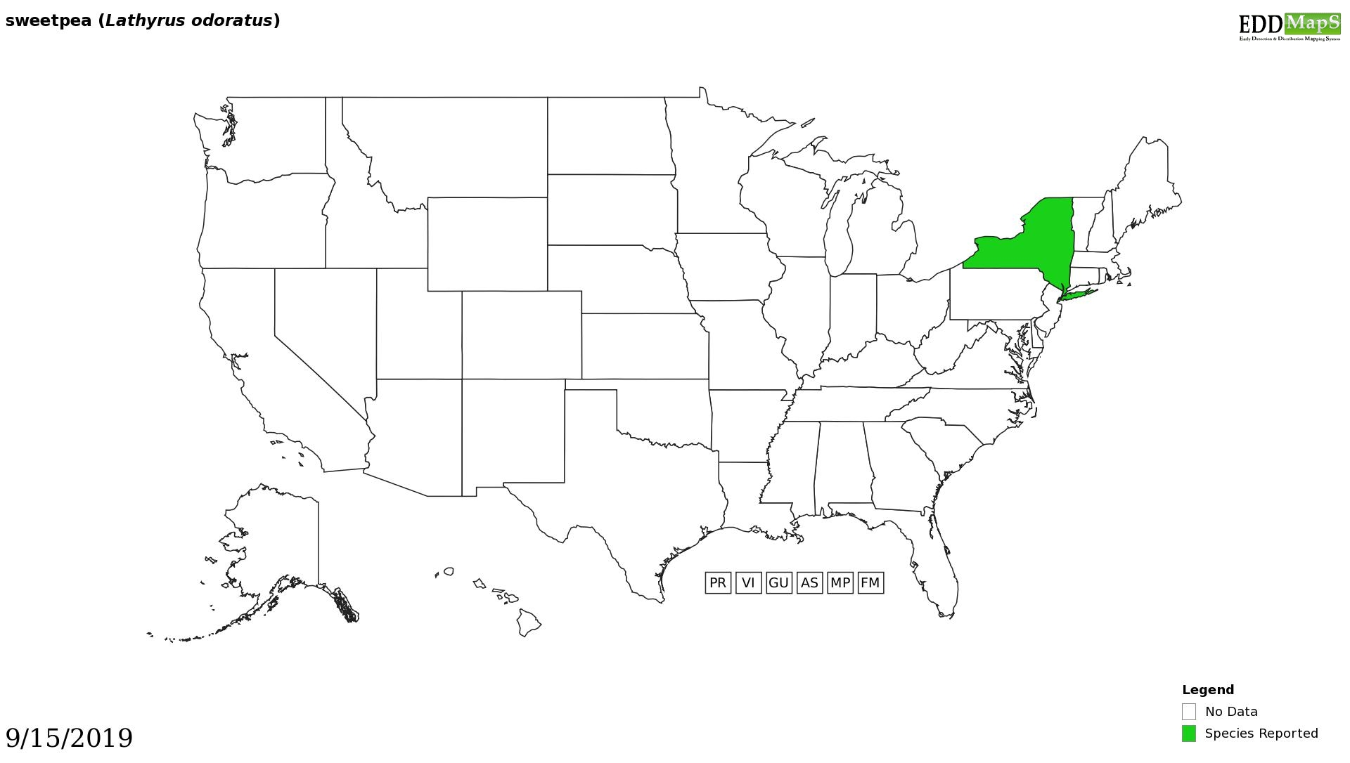 Sweat pea distribution - United States