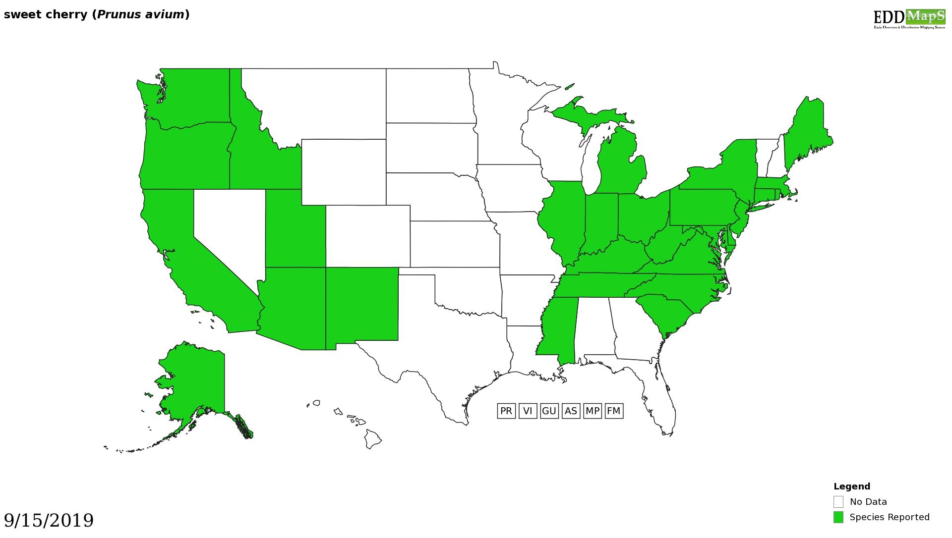 Prunus trees distribution - United States