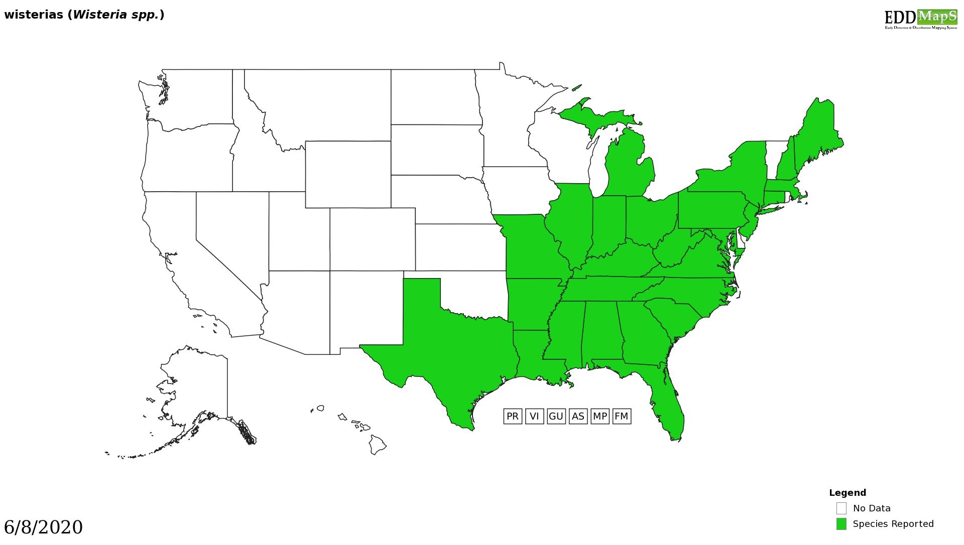 Wisteria distribution - United States