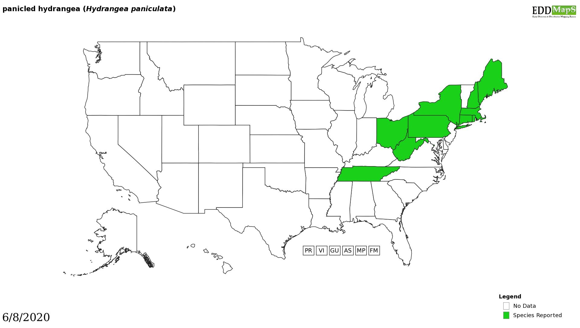 Hydrangea distribution - United States