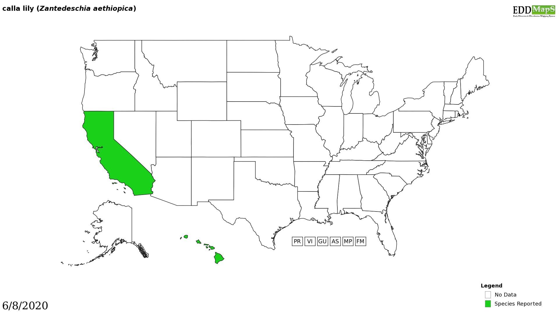 Calla lily distribution - United States