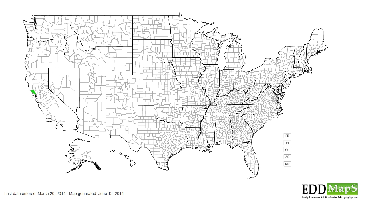 Mistletoe distribution - United States