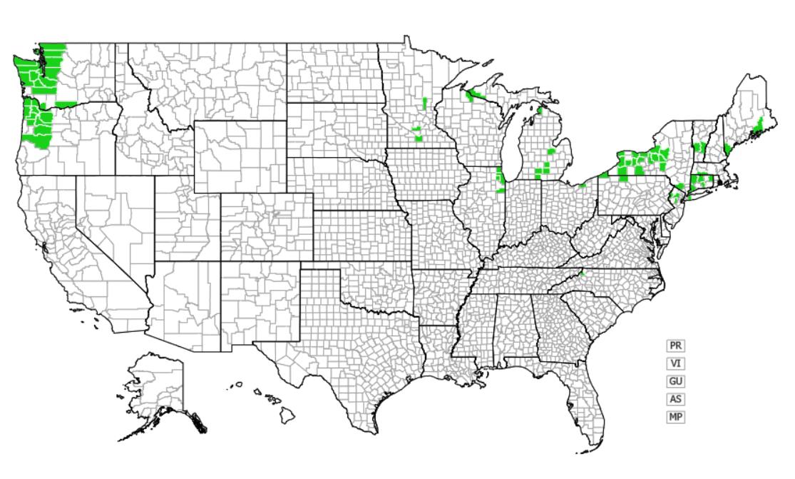 Giant hogweed distribution - United States