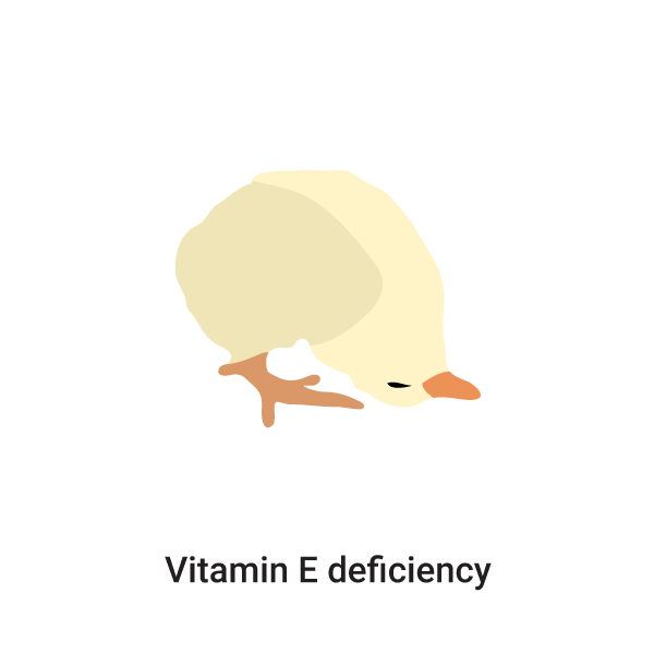vitamin e deficiency diseases