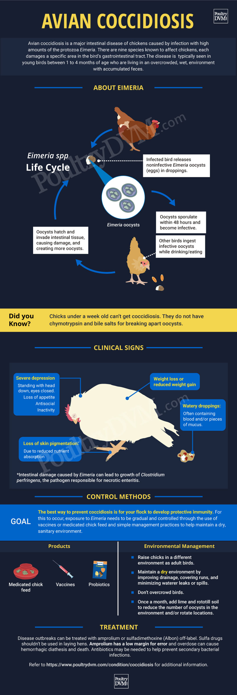 PoultryDVM - Avian Coccidiosis PoultryDVM - Avian Coccidiosis