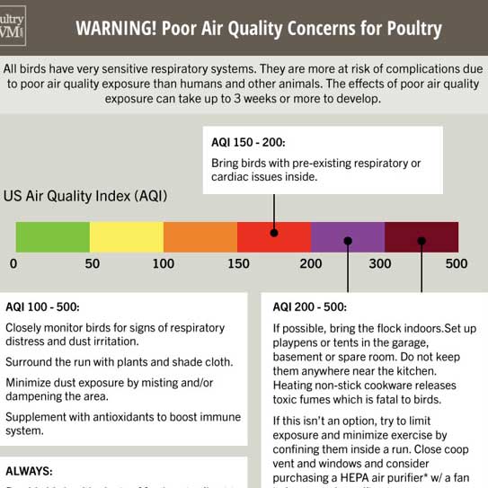 Poor Air Quality Concerns for Chickens