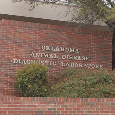 Oklahoma State University Animal Disease Diagnostic Laboratory 