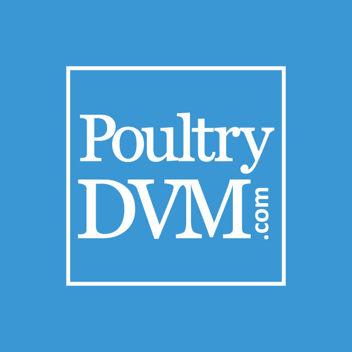 poultrydvm.com logo