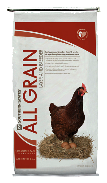All Grain Poultry Layer & Breeder image