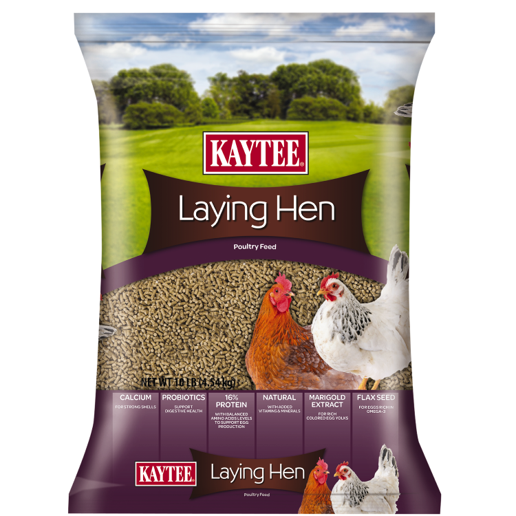 Laying Hen Diet image