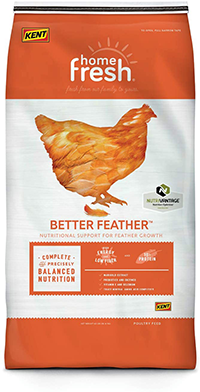 Home Fresh Chicken Better Feather image