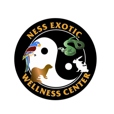 Ness Exotic Wellness Center