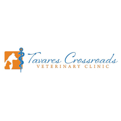 Tavares Crossroads Veterinary Clinic