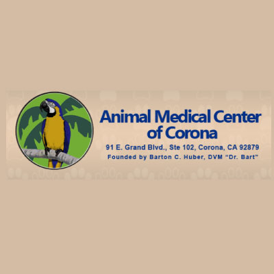Animal Medical Center of Corona