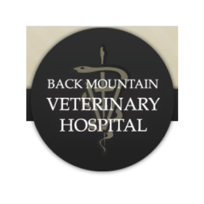 Back Mountain Veterinary Hospital