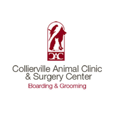 Collierville Animal Clinic & Surgery Center