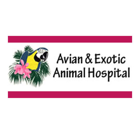 Avian & Exotic Animal Hospital San Diego