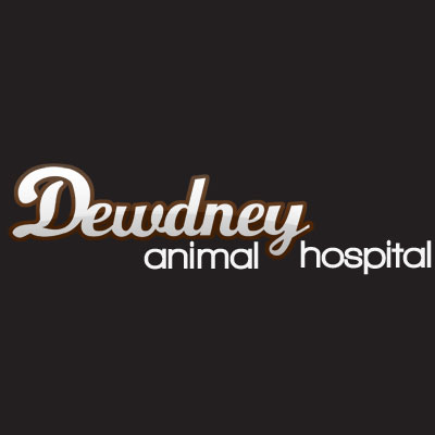 Dewdney Animal Hospital