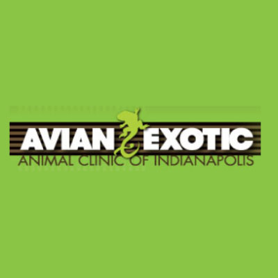 Avian Exotic Animal Clinic of Indianapolis