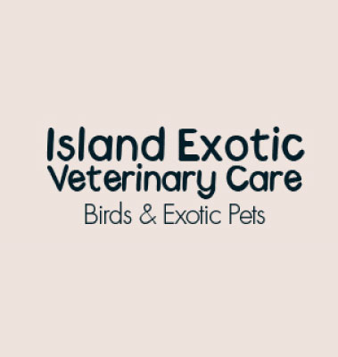 Island Exotics Veterinary Care