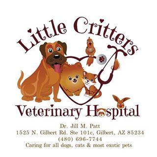 Little Critters Veterinary hospital