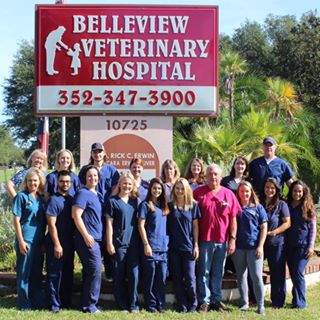 Belleview Veterinary Hospital