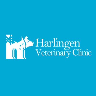 Harlingen Veterinary Clinic