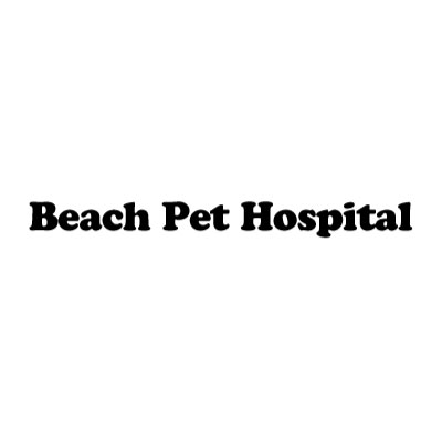 Beach Pet Hospital