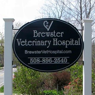Brewster Veterinary Hospital