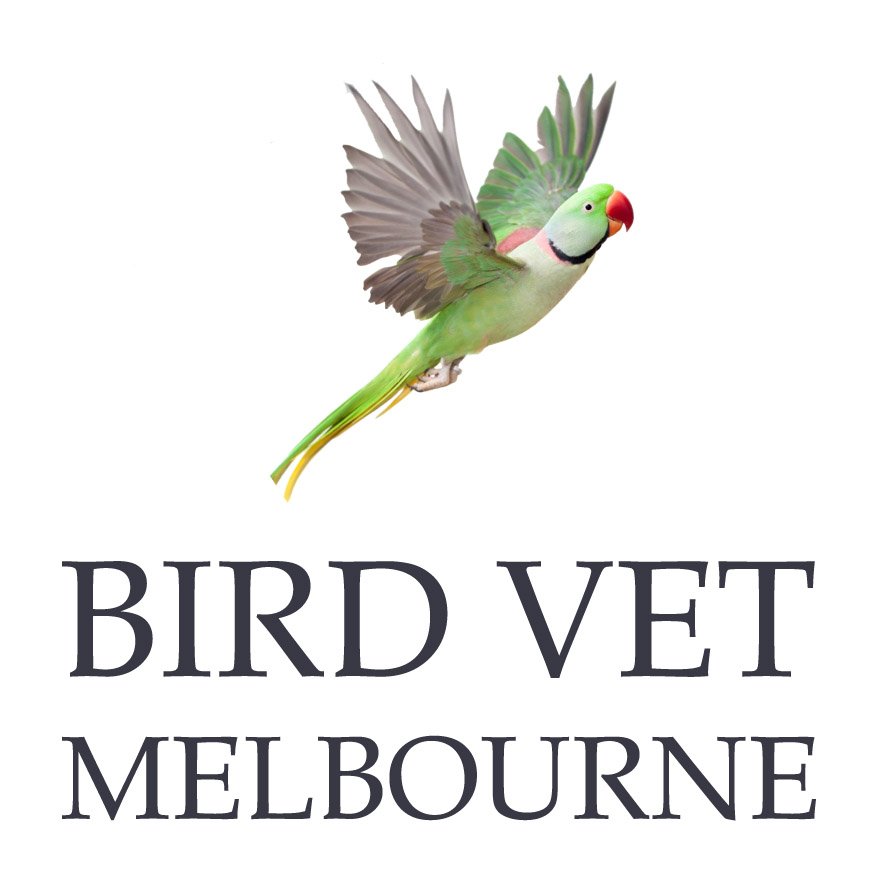 Bird Vet Melbourne